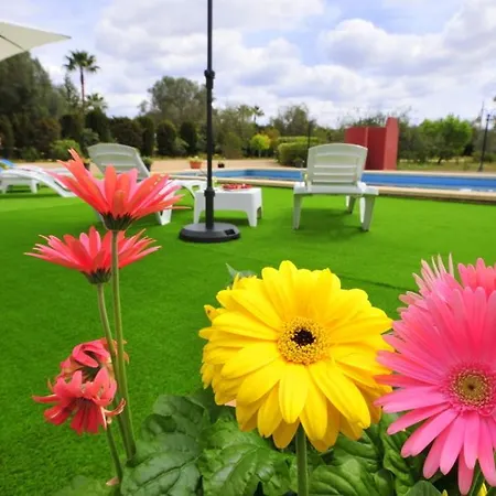 Mallorca Paradise Villa